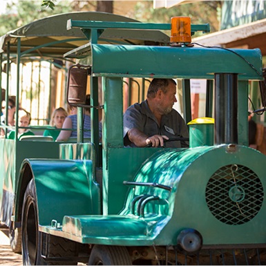 Pioneer Park Museum train